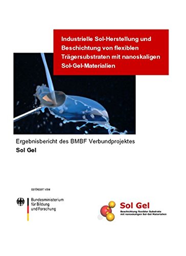 Preisvergleich Produktbild Industrielle Sol-Herstellung und Beschichtung von flexiblen Trägersubstraten mit nanoskaligen Sol-Gel-Materialien