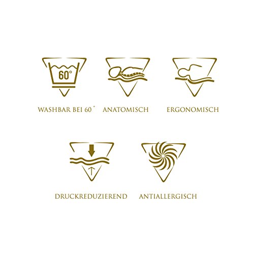 ALOE VERA SPEZIAL Orthopädisches HWS Nackenstützkissen 70×35 cm GRATIS 2 BEZÜGE in ALOE VERA getränkt. Aus druckausgleichendem Viscogelschaum Kopfkissen Wellness-Kissen Nacken-Kissen von Betten Jumbo - 5