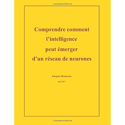Comprendre comment l'intelligence peut emerger d'un reseau de neurones Comprendre comment l'intelligence peut emerger d'un reseau de neurones
