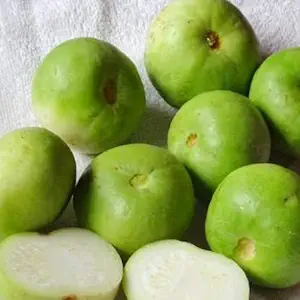 Creative Farmer Vegetable Seeds Praecitrullus Fistulosus Seeds - Tinda Seeds Open Polinated Roof Top Gardening Home Garden Seeds