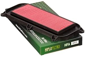 HIFLOFILTRO FILTRO DE AIRE DAELIM S2 FREEWING, SQ 250 2007-2008