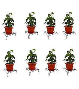Xllent Flower Pot Stand, Pot Stand, Plant Stand Heavy Duty Metal for Plants in Balcony, Home Decor, Indoor and Outdoor Use (Square) Black Pack of 8