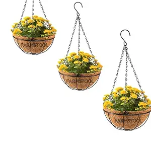 FARMSTOOL  Coir Hanging 12 INCH 3 Pieces Basket Coco Gardening Pots with Metal Chain Designer Plant Container