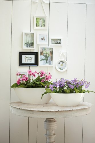 elho Brussels Diamond Oval Blumentopf 36cm – Weiss - 8