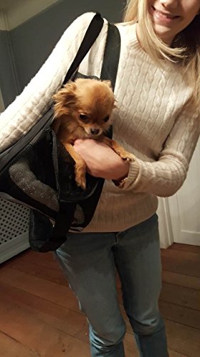 EVELTEK-Sacs-de-Transport-Souple-Pour-Petits-Chats-ou-Chiens-Lapin-et-Autres-Animaux-de-Compagnie-Pour-Voyage-avec-Matelas-en-Peluche-Amovible-Noir