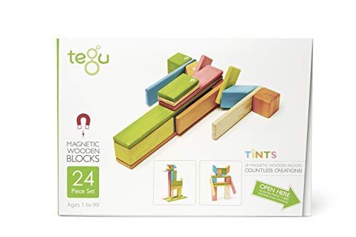 Tegu 24 Piece Magnetic Wooden Block Set, Tints