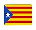 Produktbild Spain Catalan Star Flag Leather Mouse Mat PC Mouse Pad