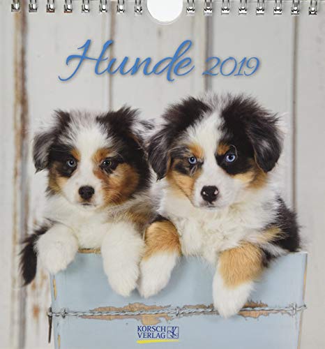 Download Hunde 2019 Postkartenkalender
