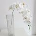 Produktbild DDG EDMMS 'Deutsche Dampfschifffahrts-Gesellschaft edmms Künstliche Phalaenopsis-9 Head Fake Seide Blumen Simulation Orchidee Blume für Home Hochzeit Dekoration Weiß
