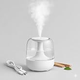 RYM Cool Mist Home Humidifier for Bedroom, Living Room & Office | Quiet Operation, Auto Shut Off, Moisture Control & Energy E