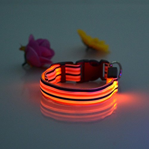 Pets-Dogs-Night-Strip-Collar-Flash-Light-Up-Led-Collars-Safety-Waterproof-Adjustable-Stripe-Colorful