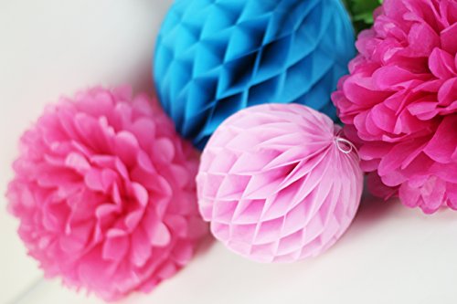 SUNBEAUTY 11er Set Deko Kombination Pink Rosa Blau Wabenbälle PomPoms - 4