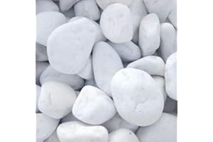Vegara Stone Piedra Jardín Decoración Canto Rodado Blanco Puro 2-4 cm (10 kg)