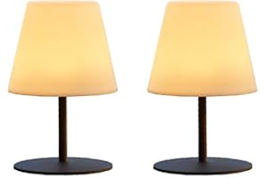 Lumisky Pack de 2 Lampes de table sans fil pied en acier gris LED blanc chaud/blanc dimmable TWINS H16cm