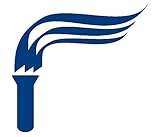 Image de E-Campaigning als effizientes Instrument der politischen Lobbyarbeit? Eine Analyse am Beispiel der Naturschutzverbände in der Bundesrepublik Deutschl