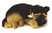 Perfect Petzzz German Sheperd RS.1799.00