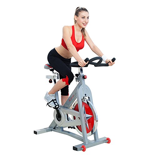 Sunny Health & Fitness Indoor Cycling Bike SF-B901