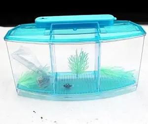 GlobalNiche? Sky Blue, 28X10X15Cm: Acrylic Aquarium Betta Fish Bowl Led Light Aquarium Incubator Hatchery Breeding Box 3 Splits Fish Tank Turtle Reptile