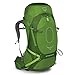 Produktbild Rucksack Osprey Atmos AG 50 Absinthe Green (grün) L