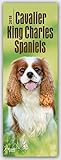 Cavalier King Charles Spaniels 2018: Original BrownTrout-Kalender - Slimeline [Mehrsprachig] [Kalender] (Slimline-Kalender) by 
