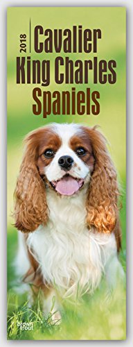 Cavalier King Charles Spaniels 2018: Original BrownTrout-Kalender - Slimeline [Mehrsprachig] [Kalender] (Slimline-Kalender)