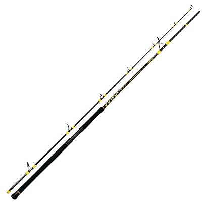 Black Cat Passion Uni Pro DX Canne à pêche Spin Wels, Standard, One Size