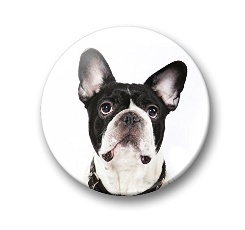 Französische Bulldogge Porträt – 6 große Kühlschrankmagnete Ø 5 cm [ 04 ] - 2