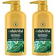 Indulekha Dandruff Treatment Shampoo 580 ml (Pack of 2)
