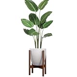 Respetuoso con el medio ambiente: esta estantería está hecha de madera de haya. Y la fragancia de madera natural también es bueno para la salud.