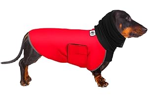 GZGZADMC Dachshund Coat, Dachshund Winter Coat, Warm Dachshund Coat, Dachshund Raincoat Waterproof, Dachshund Clothing, Coat Miniature Dachshund, Miniature Dachshund Raincoat for Small Dog (XS, Red)