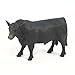 Produktbild angus bull