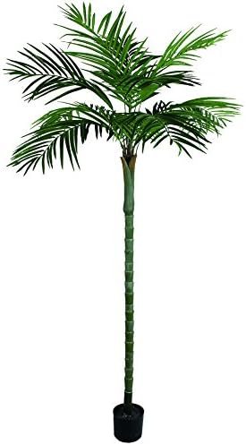DZD - Areca Palm Tree - 210cm, Green, 210cm tall