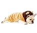 Produktbild ranphy Kleine Haustiere mit Kapuze Kleidung Winter Hund Löwe Kostüm Trim Mantel hooide Welpen Weste