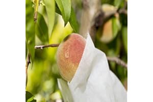 PAMPOLS Bolsas de Papel para Proteger Frutas de Pájaros y Plagas | Protección Árboles Frutales | Fundas para Melocotonero Ciruelo y Más | 163x200mm