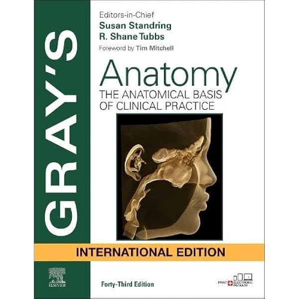 Buy Gray's Anatomy: The Anatomical Basis of Clinical Practice Book