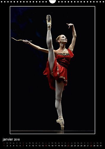 Livres Couvertures de Etoiles Du Gala Russe a Monaco 2018: Les Etoiles Des Plus Grands Ballets a Monaco Pour Le Gala Russe