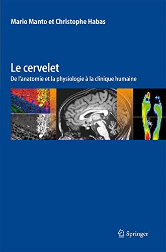 Download Le cervelet : De l'anatomie et la physiologie à la clinique humaine Download Le cervelet : De l'anatomie et la physiologie à la clinique humaine