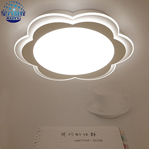 Preisvergleich Produktbild d¨¹nne Acryl f¨¹hrte Deckenkreisblumen Wohnzimmer Restaurant Schlafzimmerlampe Studie Kinder Power-Lampe 24-48w Dicke 65mm , 420