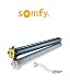 Produktbild Motor für Rollläden Somfy LT50 HiPro 12, komplett mit Krone aus Messing,60 mm, Rad aus Messing.60 mm, Laufunterstützung aus Zamak (wie abgebildet).
