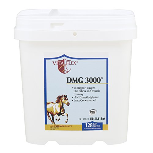 Vita Flex, DMG 3000 Concentrate - 4lbs, 128 Day Supply