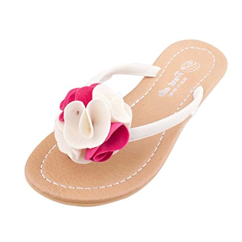 Preisvergleich Produktbild Xinan Böhmen Pantoffel Flache Schuhe Blume Freizeit Badeschuhe (40, Hot Pink)