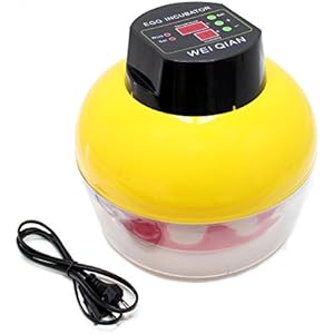 Automatische Brutmaschine Inkubator für 8 Eier