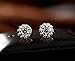 925 Sterling Silver Zircon Earrings Stud Earring P04