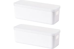 Bailtouk 2 Piezas Caja de Almacenamiento con Tapa, Cajas Organizadoras de Plastico, Cestas Organizadoras con Asas Pequeños de Almacenaje para Cocina, Armario, Oficina, Baño (28×9,5×10cm)