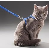 Orret Home 110 cm V&uuml;cuda Takılan Kedi Tasması, Konforlu ve Ayarlanabilir Tasarım, G&uuml;venli Y&uuml;r&uuml;y&uuml;şler i&ccedil;in Ideal, Dayanıklı ve