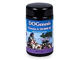 Robert Franz DoGenesis Vitamin A 10.000 IE