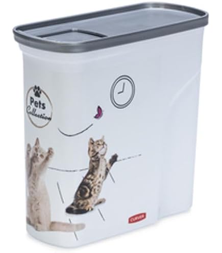 Rotho Compact Boîte de Rangement 13L avec Couvercle, Plastique (PP) sans BPA, Transparent / Vert