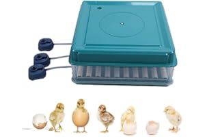 TNFEEON Inkubator W Pełni Automatyczny Inkubator do Jaj Kurzych 9-35 Inkubator do Jaj z Wydajnym Oświetleniem LED Wylęgarnia dla Kurczaków Gęsi Kaczki Gołębie Przepiórki Ptaki (Wtyczka UE 220 V 64 Jaja)