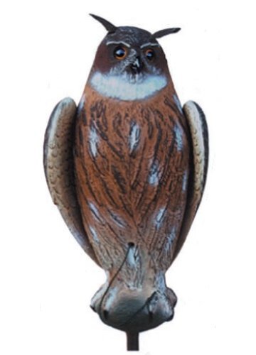 Preisvergleich Produktbild Lockvogel - Hütten Uhu