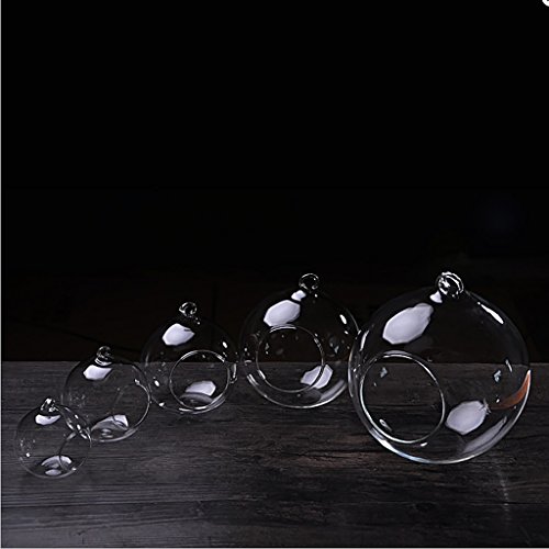 Hängende Glas Blumenvase Vase für Hängedeko Pflanzen Dekoration – 12cm Durchmesser - 6
